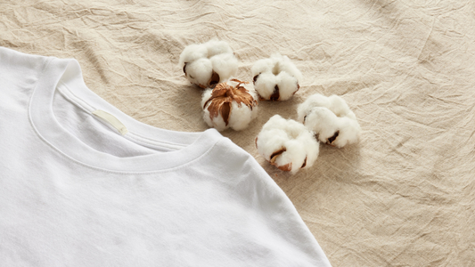 Why We Use Organic Cotton (and Why That’s Political)